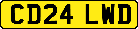 CD24LWD
