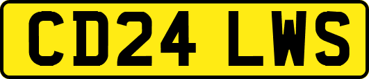 CD24LWS