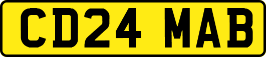 CD24MAB