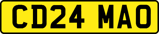 CD24MAO