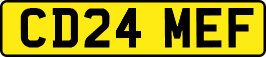 CD24MEF