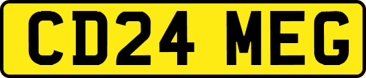 CD24MEG