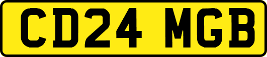 CD24MGB