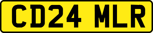 CD24MLR