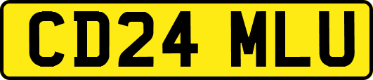 CD24MLU