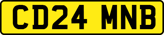 CD24MNB