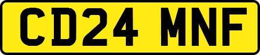 CD24MNF