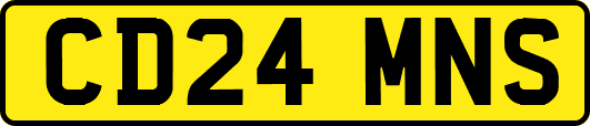 CD24MNS