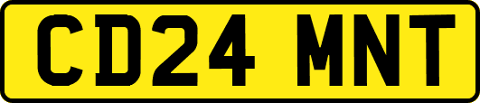 CD24MNT