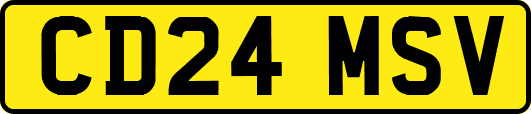 CD24MSV