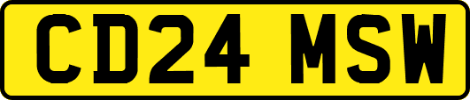 CD24MSW