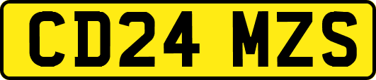 CD24MZS