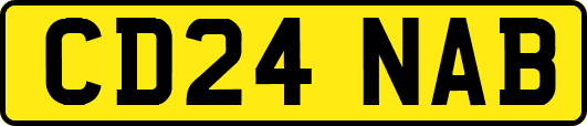 CD24NAB