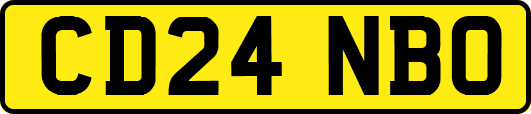 CD24NBO