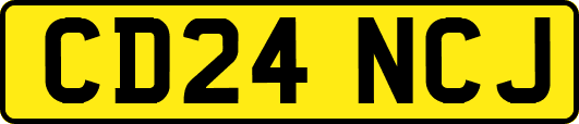 CD24NCJ