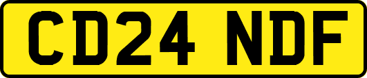 CD24NDF