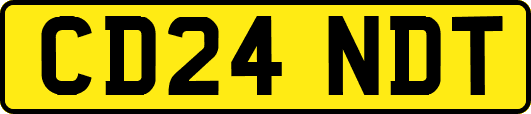 CD24NDT