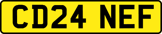 CD24NEF