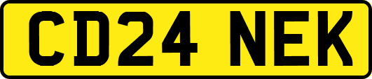 CD24NEK