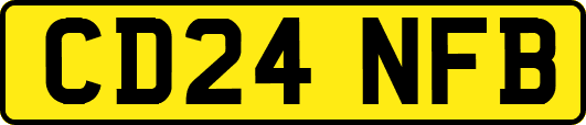 CD24NFB