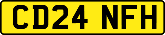 CD24NFH