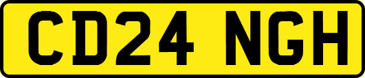 CD24NGH