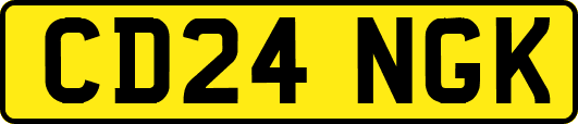 CD24NGK