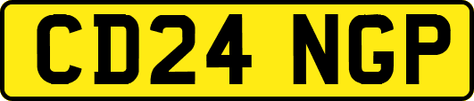 CD24NGP