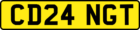 CD24NGT