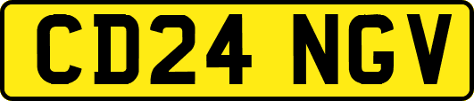 CD24NGV
