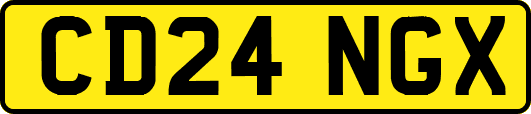 CD24NGX