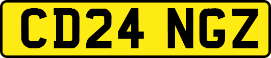 CD24NGZ