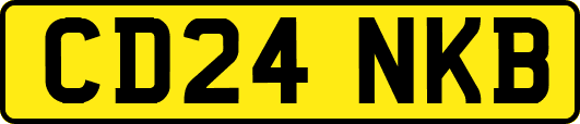 CD24NKB