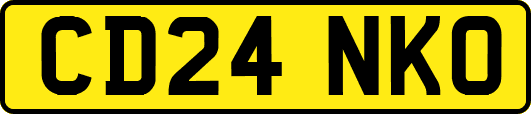 CD24NKO