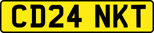 CD24NKT
