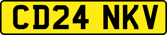 CD24NKV