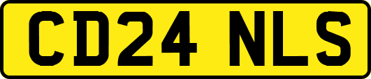 CD24NLS