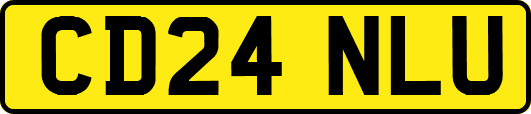 CD24NLU