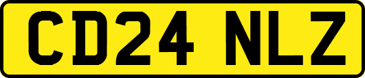 CD24NLZ