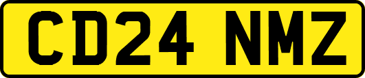 CD24NMZ