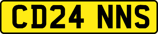 CD24NNS