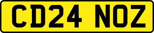 CD24NOZ
