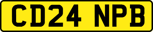 CD24NPB