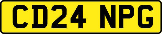 CD24NPG