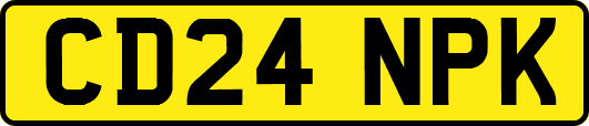 CD24NPK