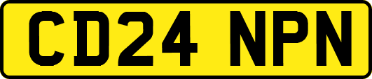 CD24NPN