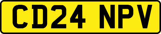 CD24NPV