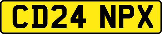 CD24NPX