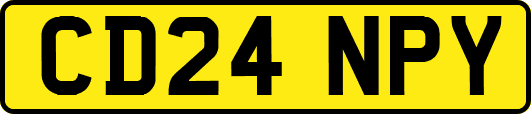 CD24NPY