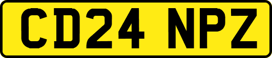 CD24NPZ